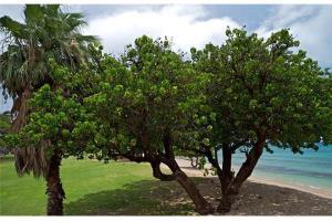 Отель Beautiful Ground Floor! Corner! Just Steps To Ocean And Pool!120 Napili-Honokowai Экстерьер фото